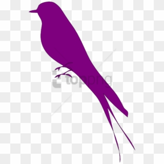Free Png Mockingbird Black And White Png Image With - Purple Bird Logo, Transparent Png