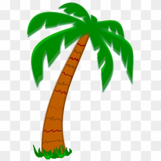 Date Palm Tree Clipart - Date Palm Tree Drawing, HD Png Download