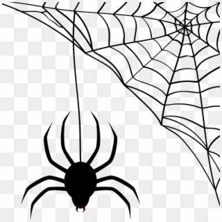 #109 Brown Widows Vs Black Widows - Spider Web Silhouette Transparent, HD Png Download