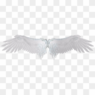 Wings Wing Alas Ala Overlay Tumblr White Blanco Hd Png Download 1024x723 2287540 Pngfind
