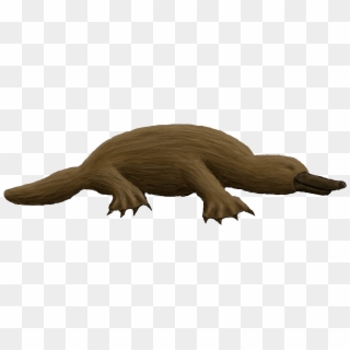 Preview - Platypus Sprite, HD Png Download