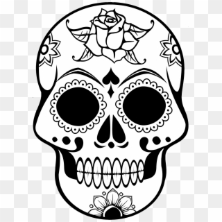 Skull Line Art - Skull Line Art Png, Transparent Png