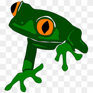 Cute Frog Clip Art Free - Costa Rica Animals Clipart, HD Png Download