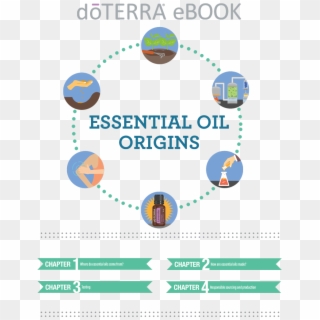 Doterra Essential Oils Origins - Doterra Essential Oils For Fitness, HD Png Download