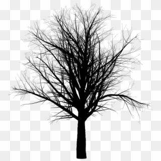 Tree, Branch, Empty, Isolated, Black, Spooky, Halloween - Arbol Con Ramas Sin Hojas Png, Transparent Png