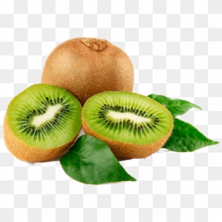 Kiwi Png Free Download - 1kg Kiwi Fruit Price, Transparent Png