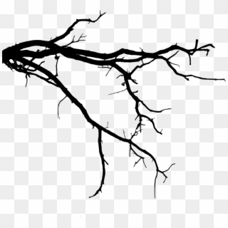 Free Png Tree Branch Png - Tree Branch Silhouette Png, Transparent Png