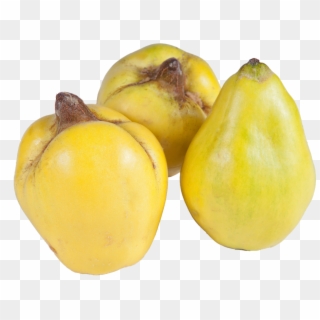 Quince, Isolated, Fruit, Eat, Food, Nutrition, Healthy - Quince Png, Transparent Png