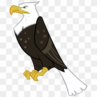 Vector Black And White Absurd Res Animal Artist Gurugrendo - Cartoon Eagle Transparent Background, HD Png Download