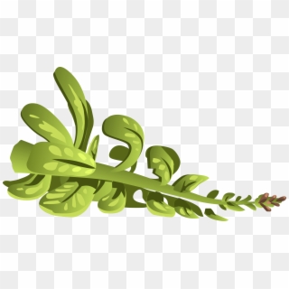 This Free Icons Png Design Of Herbs Rubeweed - Clip Art, Transparent Png