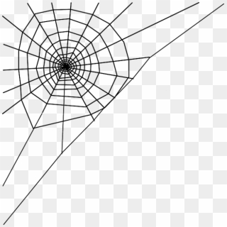 Drawn Spider Web Transparent - Spider Web Clip Art, HD Png Download