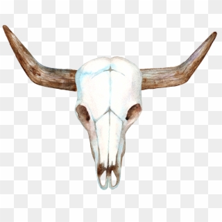 Bull Head Skull - Craneo De Vaca Png, Transparent Png
