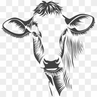 Bison Head Drawing At Getdrawings - Cow Vector Free Download, HD Png Download