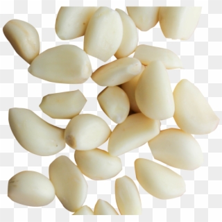 Peeled Garlic Cloves Png Image - Transparent Gravel Png, Png Download
