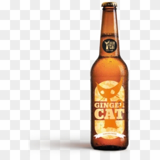 Ginger Cat Beer Beercat Disculpi Studio - Beer Bottle, HD Png Download