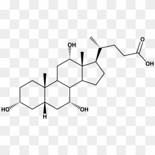 Cholic Acid - Structure, HD Png Download