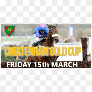 Cheltenham Gold Cup - Mare, HD Png Download