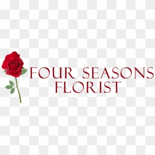 Four Seasons Florist - Carmine, HD Png Download