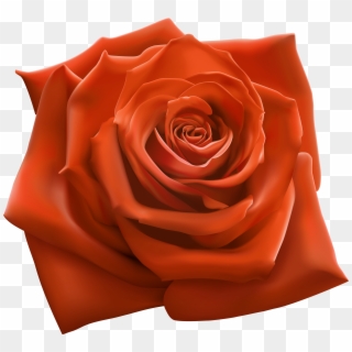 Free Png Download Orange Rose Png Images Background - Flower Clipart Pink Rose Png, Transparent Png