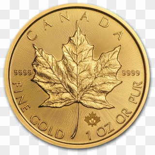 Buy 2019 Canada 1 Oz Gold Maple Leaf Bu Coin Online - 2019 1 Oz Gold Maple Leaf, HD Png Download