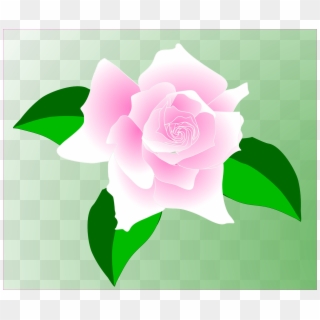 Rose Pink Flower - Pink Rose Clip Art, HD Png Download