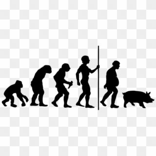 Men-evolution 1 - Culture Evolution, HD Png Download