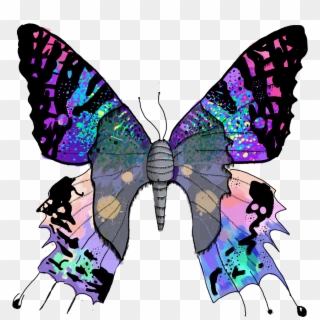 #butterfly #butterfliesstickerremix #mariposa #borboleta - Chrysiridia Rhipheus, HD Png Download