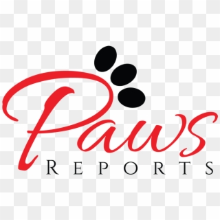 Paws Reports - Graphic Design, HD Png Download