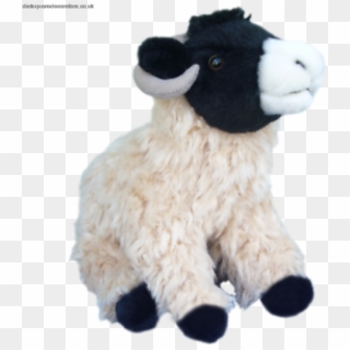 Cuddly Sheep Toy, HD Png Download