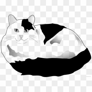 White Cat Clipart - White And Black Cat Cartoon, HD Png Download