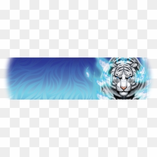 Feature Streak Tiger En Layout 1024×271, HD Png Download