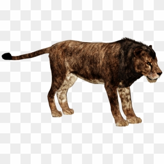 Download Cave Lion Zoo Tycoon Cave Lion Image With, HD Png Download