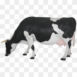Png Cow Head - Dairy Cow, Transparent Png