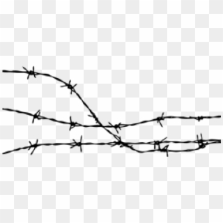 Transparent Background Barbed Wire Clipart, HD Png Download