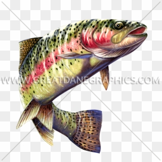 Trout Png - Rainbow Trout Clear Background, Transparent Png