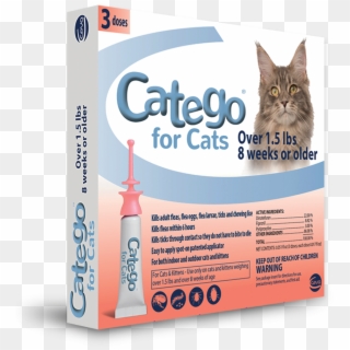 Catego® Protects - Box, HD Png Download