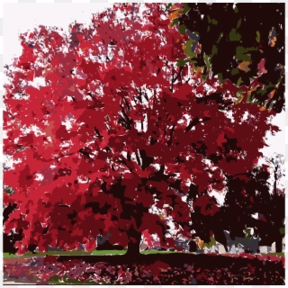 This Free Icons Png Design Of Fall Tree-red - Maple Leaf, Transparent Png