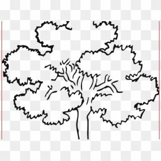 Simple Tree Outline - Oak Tree Outline Drawing, HD Png Download