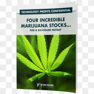 Four Incredible Marijuana Stocks For A Six-figure Payday, HD Png Download