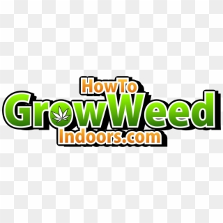 How To Grow Weed Indoors - Orange, HD Png Download