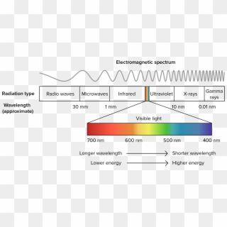 How Color Light Sunshine And Art Can Reverse Aging - Electromagnetic Spectrum Png, Transparent Png
