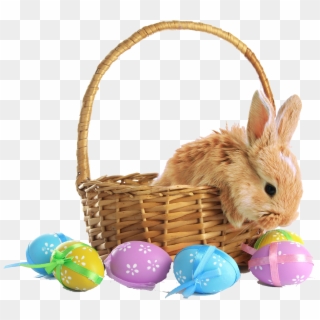 Easter Basket With Bunny, HD Png Download