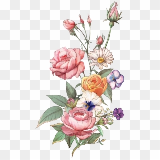 Png Freeuse Azalea Drawing Rose Tattoo - Garden Roses, Transparent Png