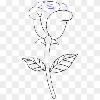 678 X 600 3 - Simple Rose Drawing, HD Png Download