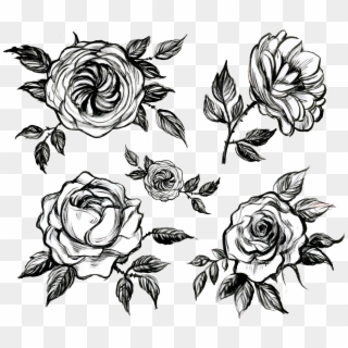 Clip Art Transparent Library Visual Arts Floral Design - Black And White Rose Design Png, Png Download