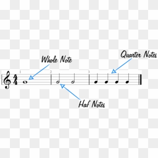 Whole Notes, Half Notes And Quarter Notes Example Graphic - Treble Clef, HD Png Download