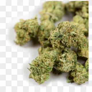War On Weed, HD Png Download