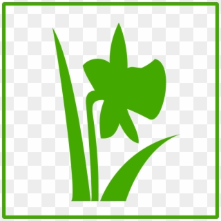 Icon, HD Png Download