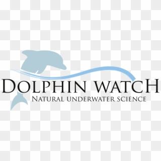 Logo Dolphin Watch Natural Underwater Science - Graphic Design, HD Png Download