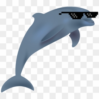 Big Image - Dolphin Clipart Png, Transparent Png